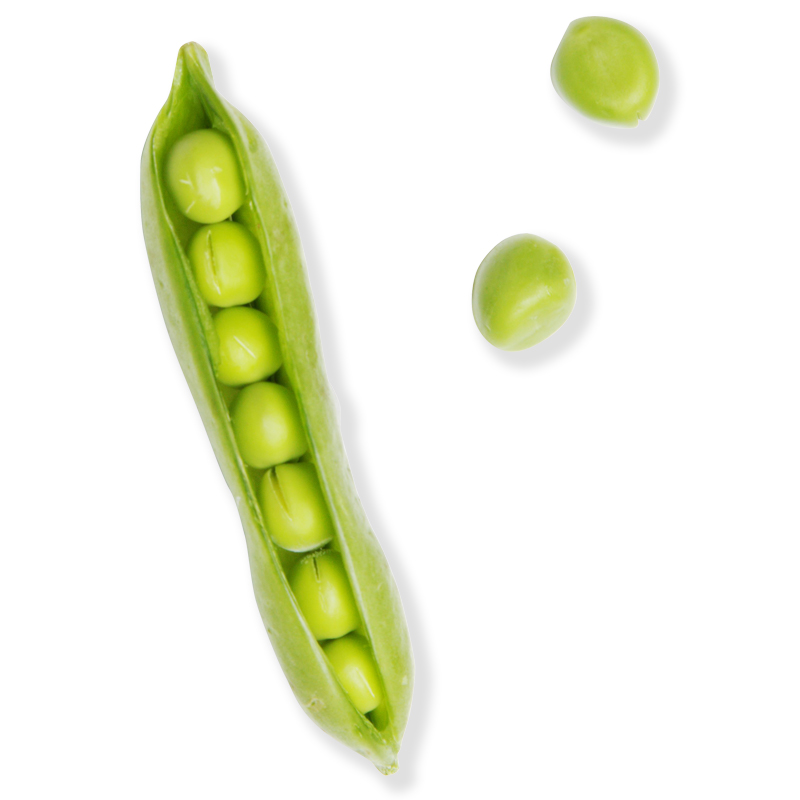 Pea Extract